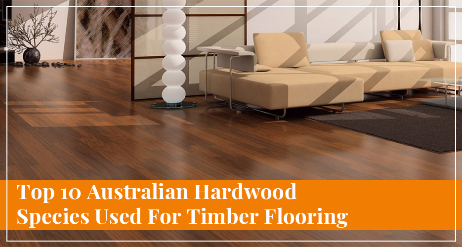 Top 10 Australian Hardwood Species Used For Timber Flooring