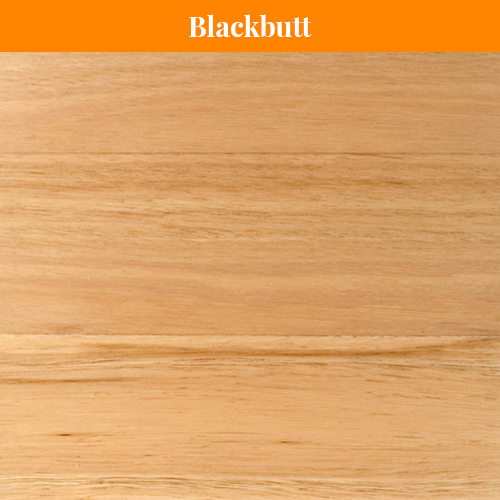 Blackbutt Blackbutt