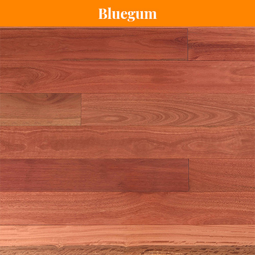 Bluegum Bluegum