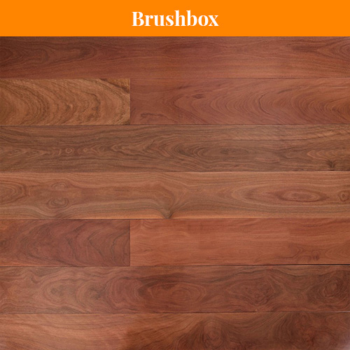 Brushbox Brushbox