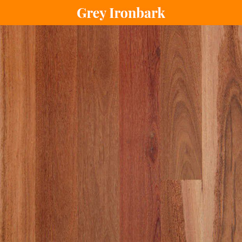 Grey Ironbark Grey Ironbark
