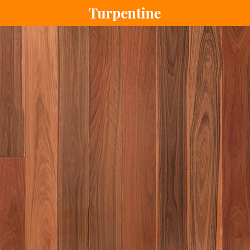 Turpentine Turpentine